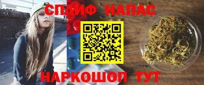 МДПВ Можга