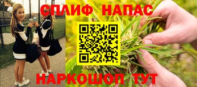 МДПВ Можга