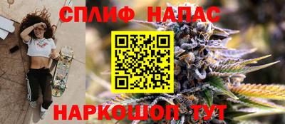 МДПВ Можга