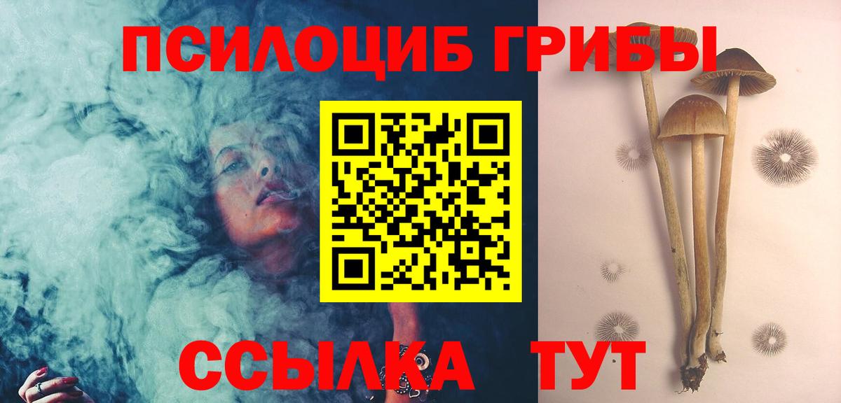 где найти наркотики  Вход с VPN  Галлюциногенные грибы ЛСД  Черногорск  Псилоцибиновые грибы мицелий 
